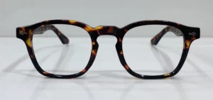 Men's Eyeglasses Tiger Print